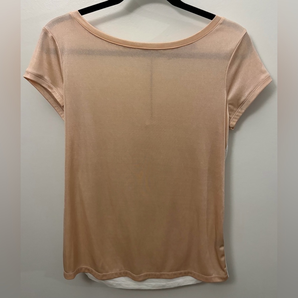 The Limited Blush Short-Sleeve Semi Sheer Velour Tee